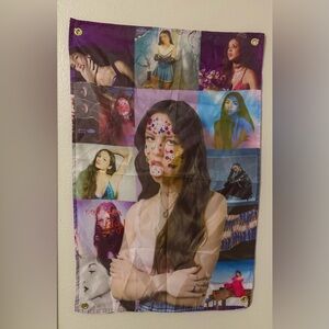 NWOT Olivia Rodrigo Colorful Wall Decor Tapestry
